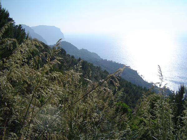 vista_mallorca_001.jpg, 81 KB