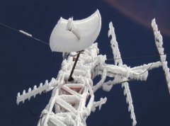 yagui-amb-gel.jpg, 33 KB